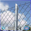 PVC coated chail link fence (Low price and profession)